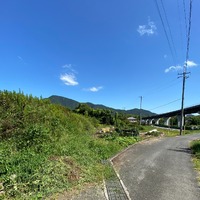 画像249